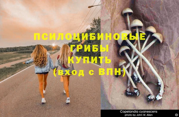 синтетический гашиш Алексин